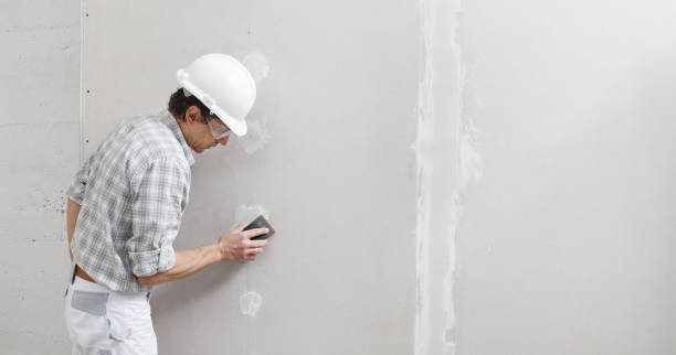 Trusted Flagler Beach, FL Mold Removal Experts