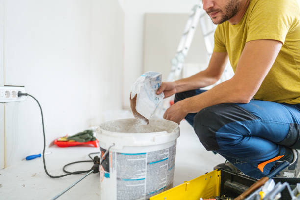 Best Post-Construction Mold Inspection  in Agler Beach, FL