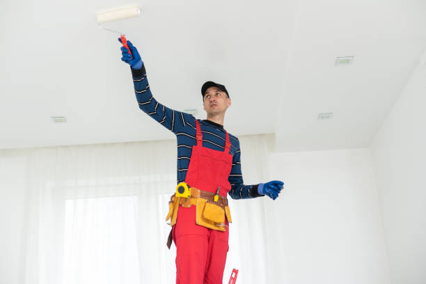 Best Basement Mold Removal  in Agler Beach, FL